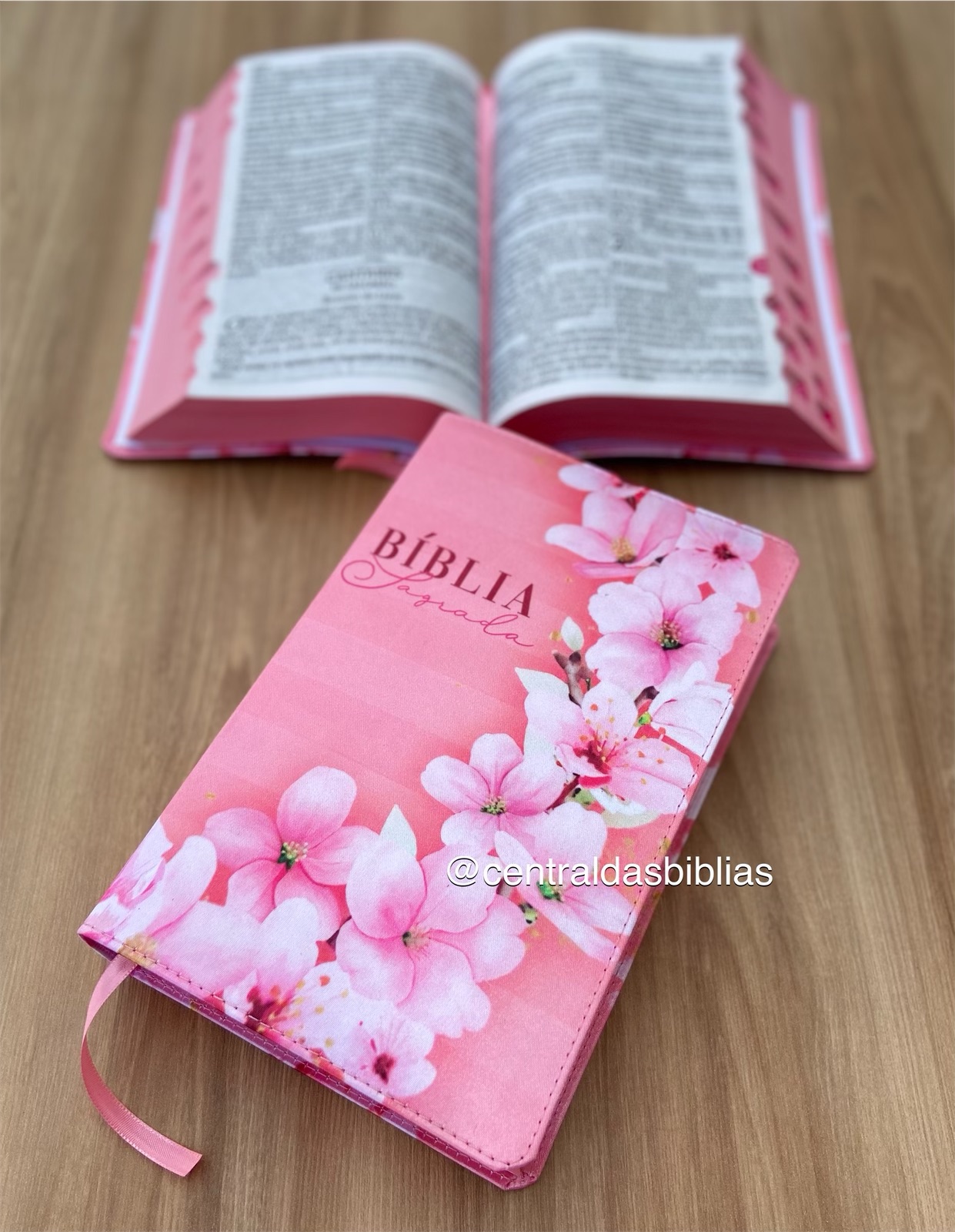 Biblia Sagrada Traducao Dos Originais Bible With Zippered Case